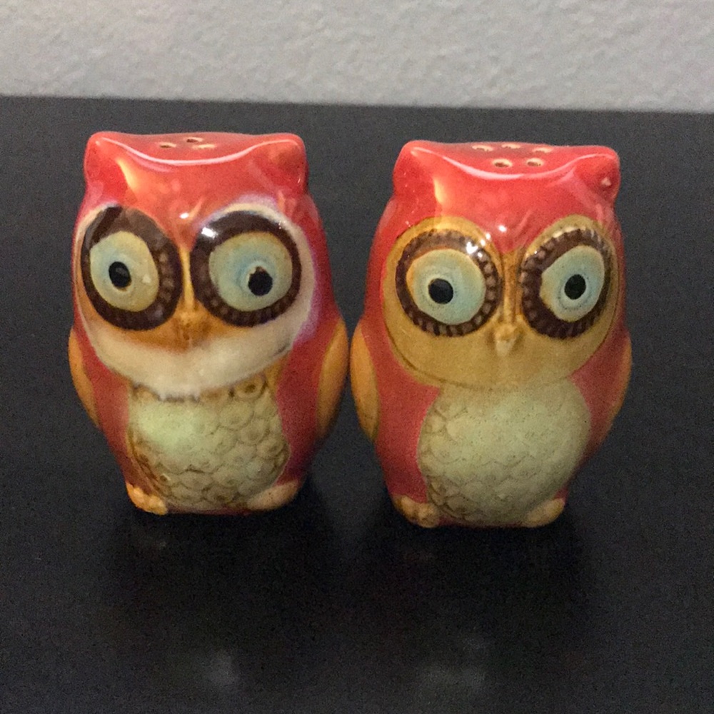 Trendy Owl Salt and Pepper Shaker Set